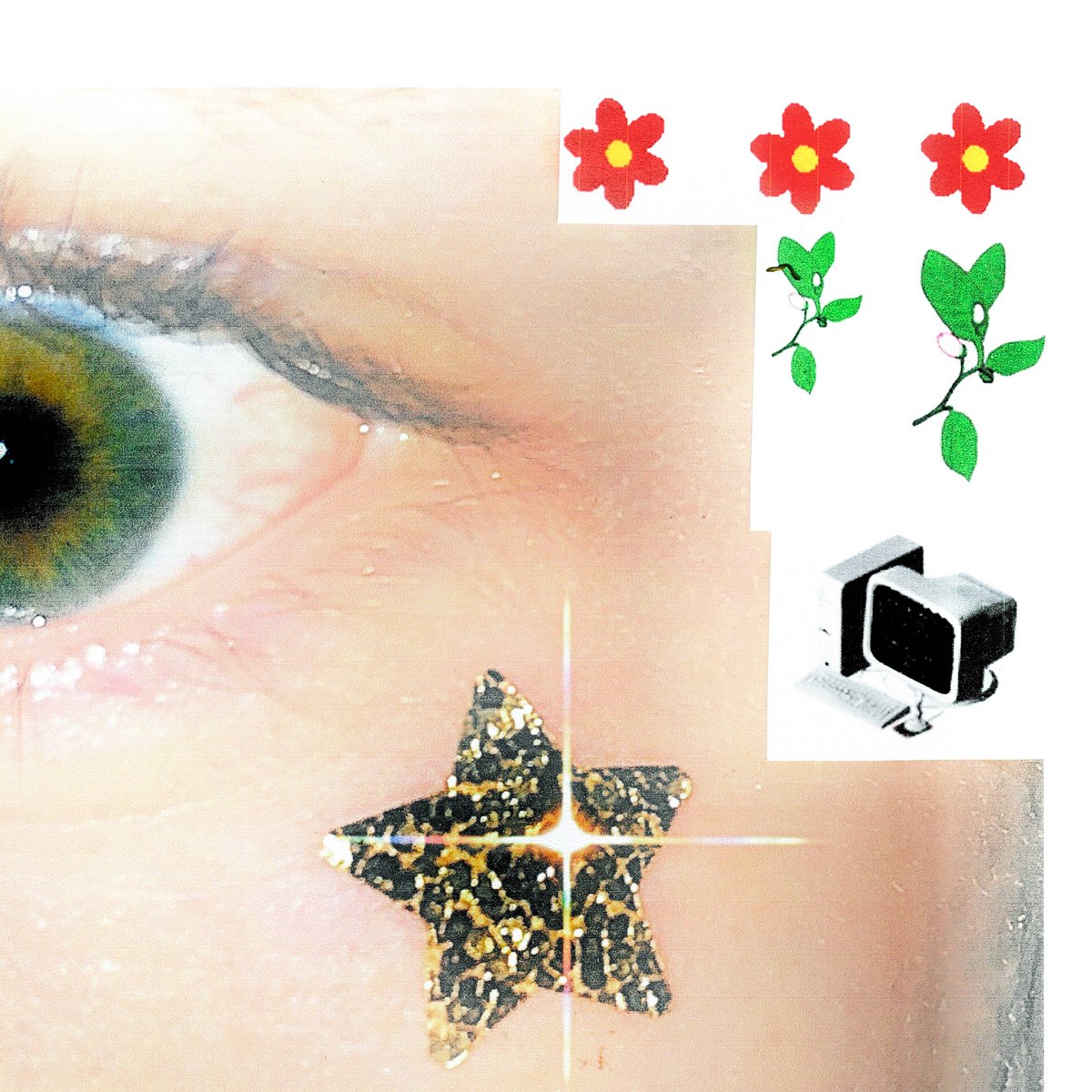 Junebeetle tweet media