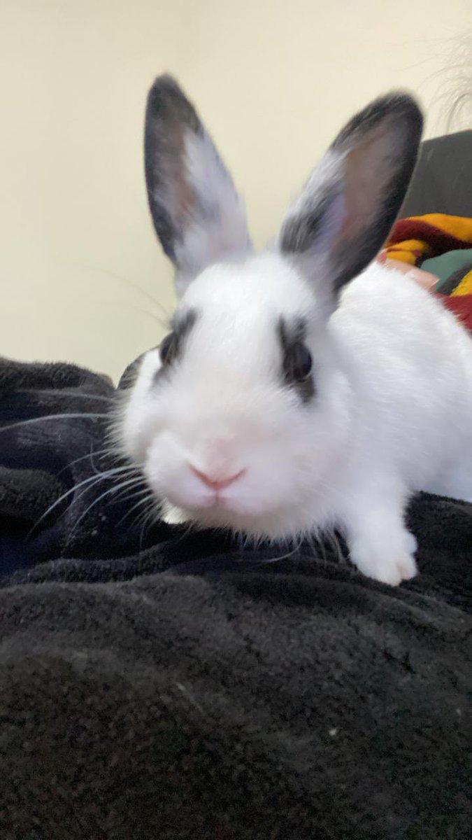 Jade 💚 tweet media