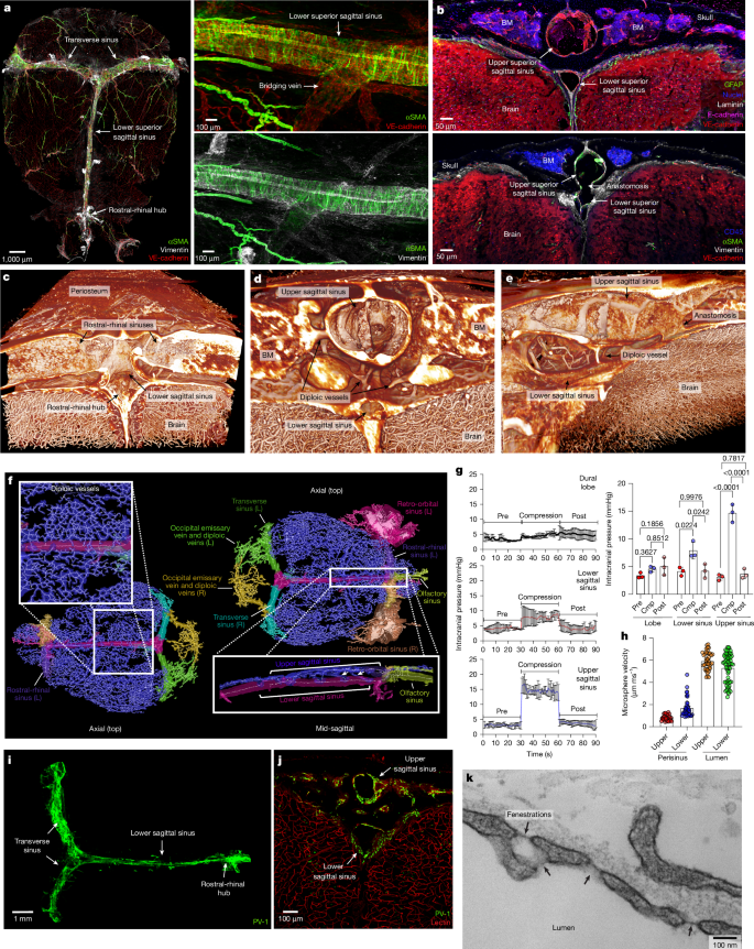 Waggoner Lab tweet media