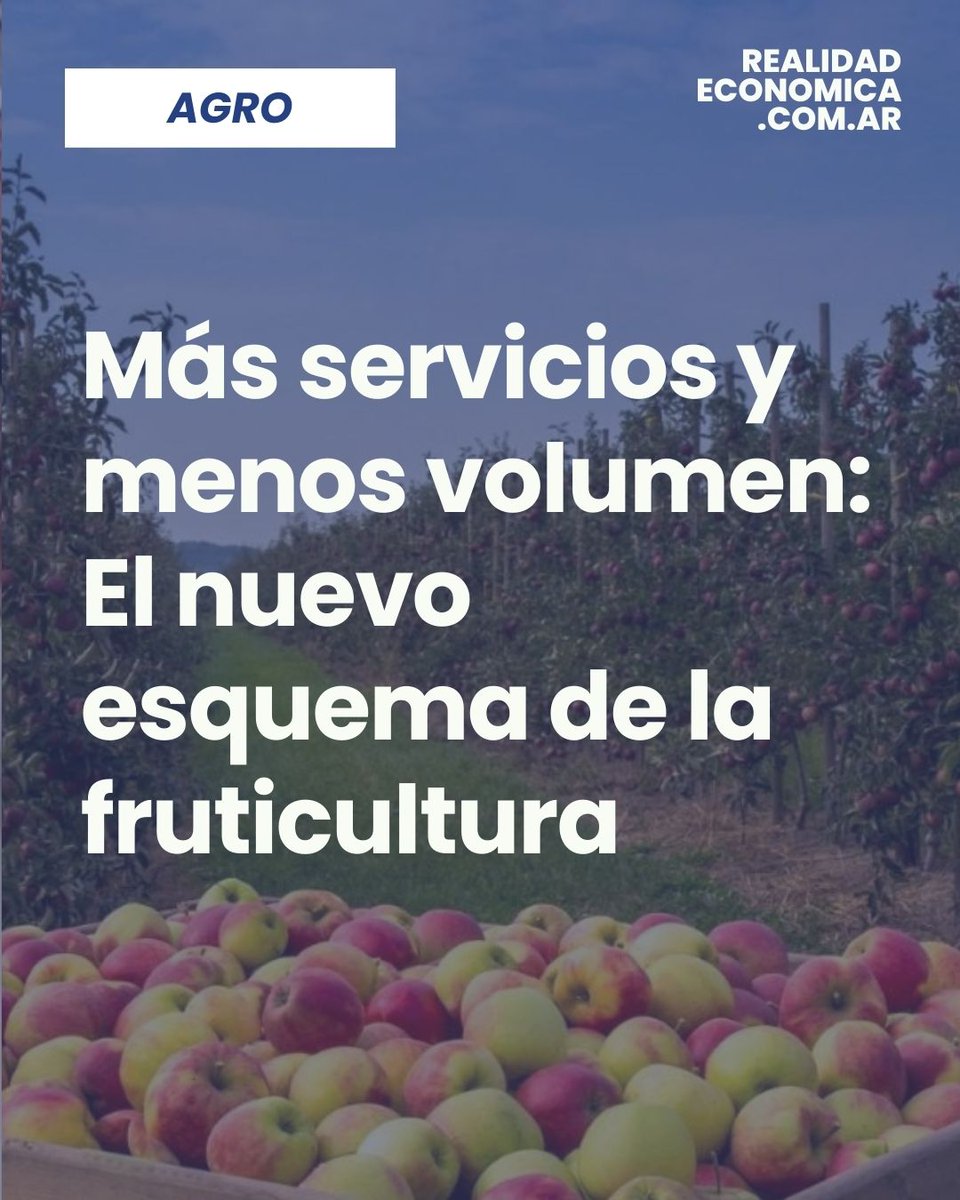 Realidad Económica tweet media