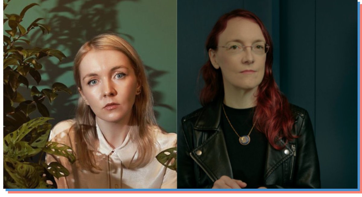 The Stinging Fly tweet media