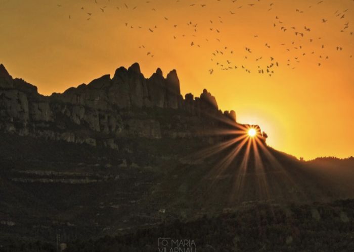🌄​ Montserrat es vesteix de llum: 📅 L'espectacle natural més esperat de l'any. 🌻 🌞 El secret de la Flor de Sol a la muntanya sagrada.

👁️​👉 short.do/YxnTUw