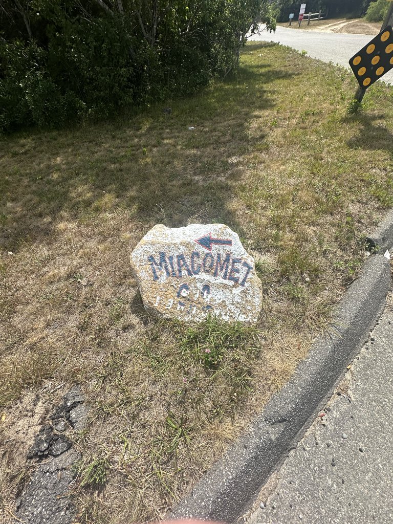 Trilly Casper tweet media