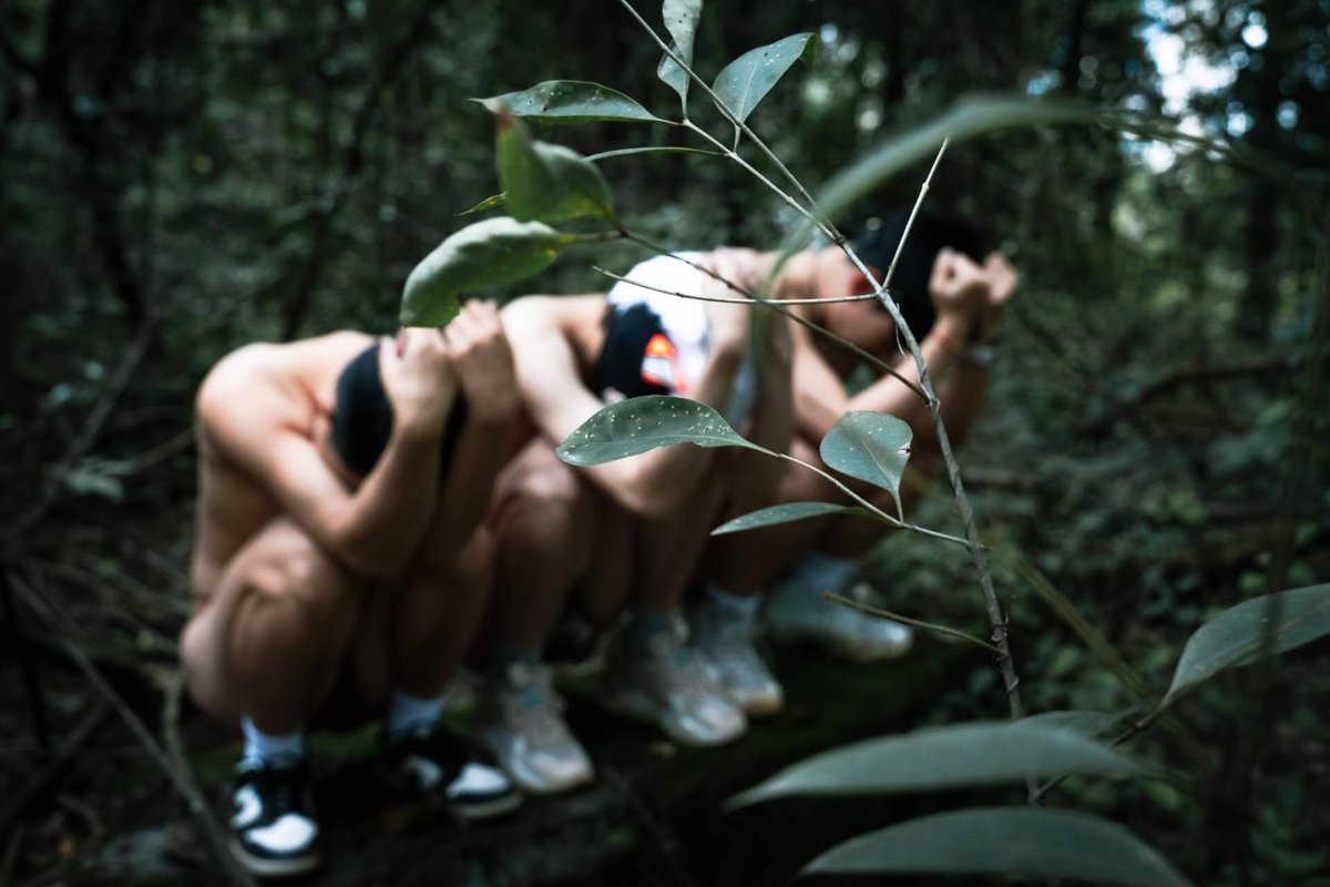 哇哇余 tweet media