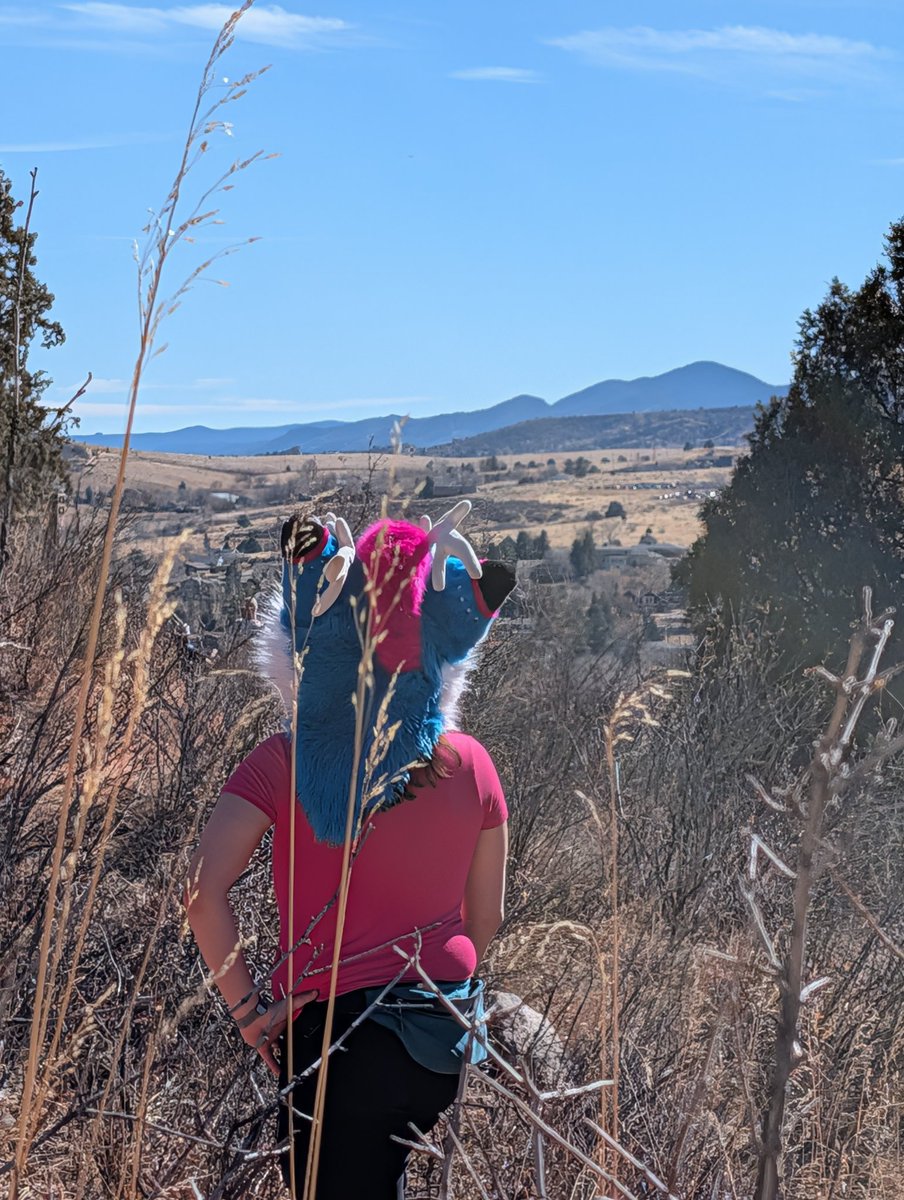 Ralph Da Dox tweet media