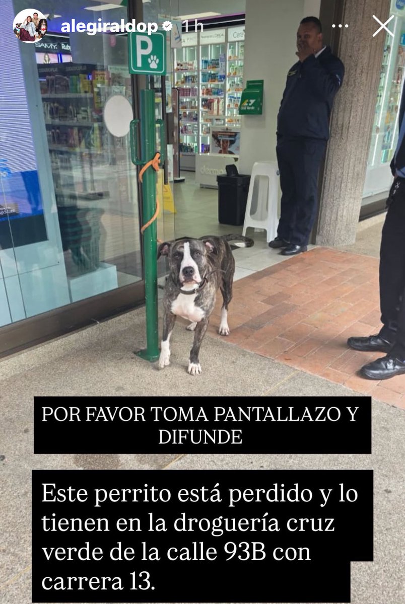 🆘 Difundir por favor 🙏🏼     
<a href="/losbuscamos_col/">Animalitos Perdidos</a>  
<a href="/andreanimalidad/">Andrea Padilla |Senado Alianza Verde🌻#️⃣1️⃣4️⃣</a> <a href="/piedrahitangela/">Ángela Piedrahita 🐤</a> <a href="/juliherrerap/">Rosa Juliana Herrera Pinto🐾👣</a> <a href="/Marce_Tabares/">Marce Tabares 🐶</a> <a href="/margaritavela/">Margarita Vela 🌳🍀🌽🌼</a> <a href="/DanielSamperO/">Daniel Samper Ospina</a> <a href="/MarkLeeOficial/">Mark Lee</a>  @camilochara <a href="/AleGiraldoP/">Alejandra Giraldo</a>