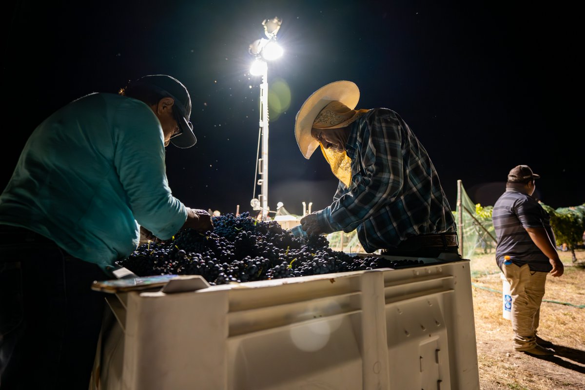 Texas A&M AgriLife Extension Service tweet media