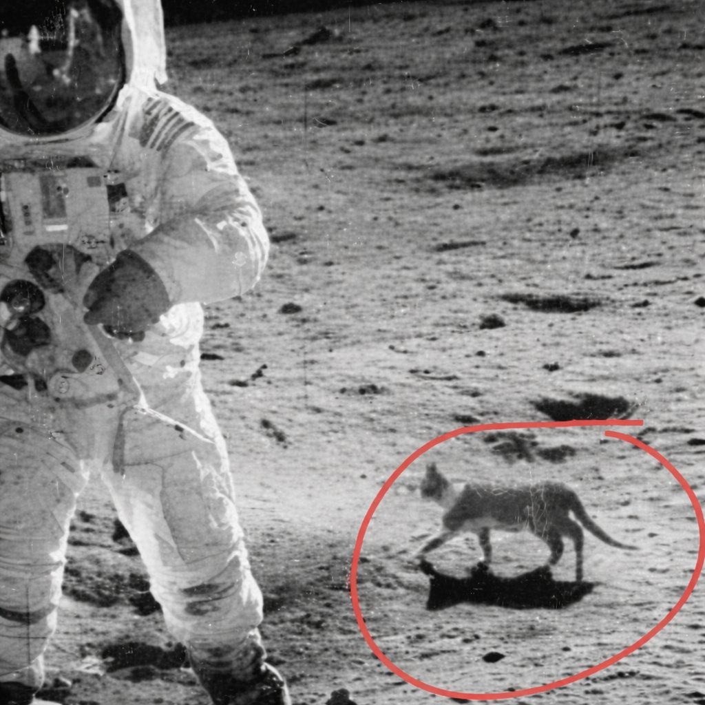 CuriosityonX's tweet photo. The image NASA doesn't want you to see. https://t.co/OJe6fusGMk