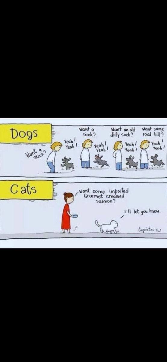 True