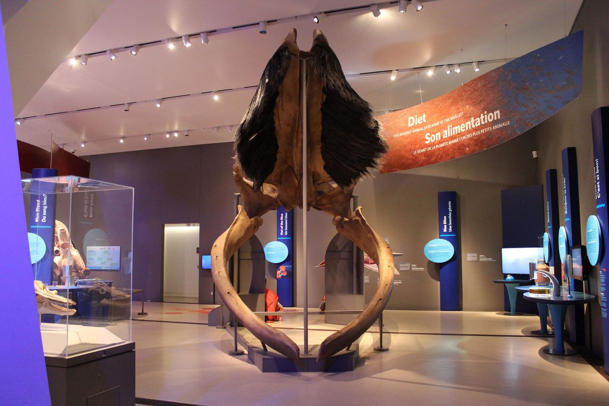 Saint Louis Science Center tweet media