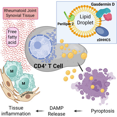 Cell Metabolism tweet media
