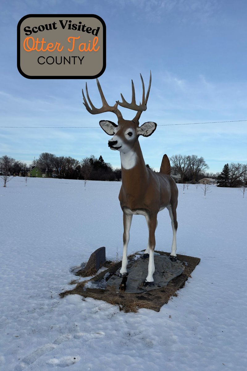 MN Sheriffs’ Association tweet media