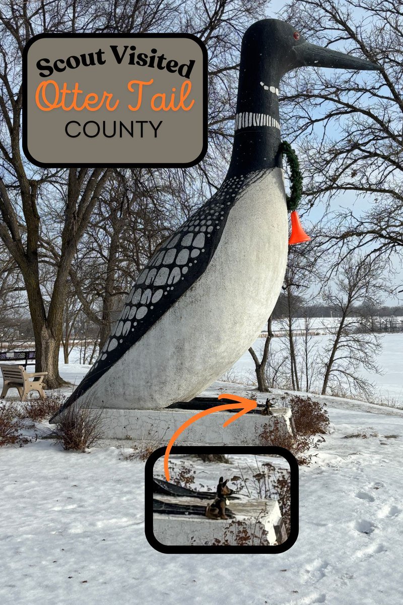 MN Sheriffs’ Association tweet media