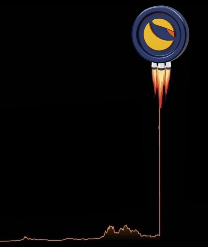 Terra Army 🐋 tweet media