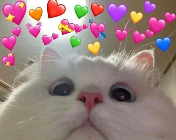 kii-kun ✦ emote artist tweet media