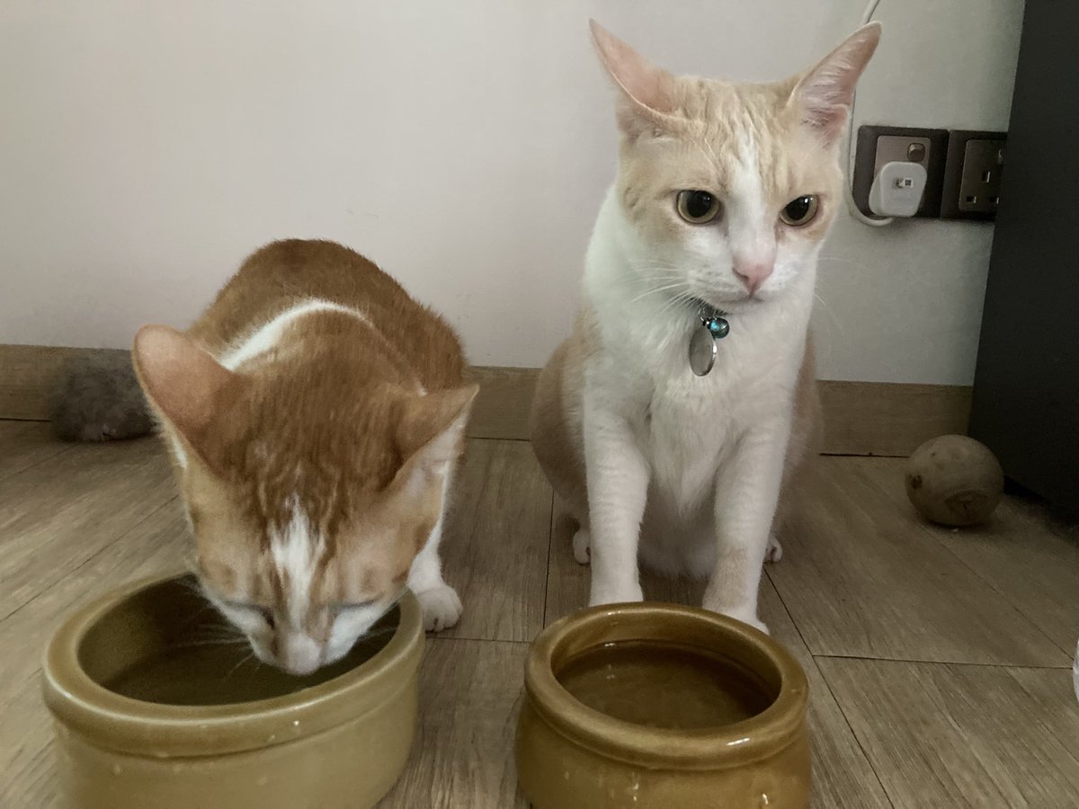 You drink first,Jiro! I’ll keep watch🧐🤨🤭