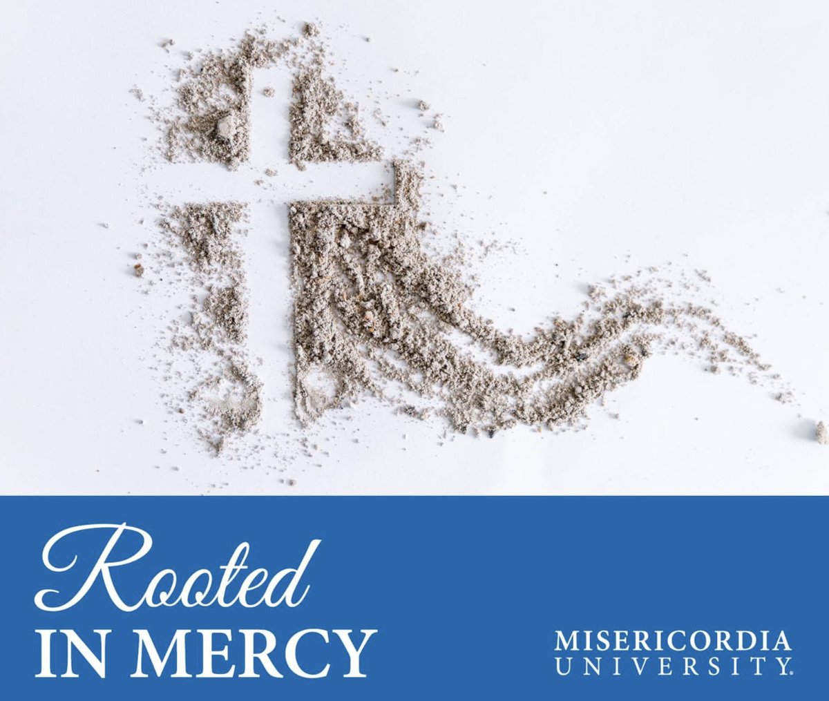 Misericordia University Alumni tweet media
