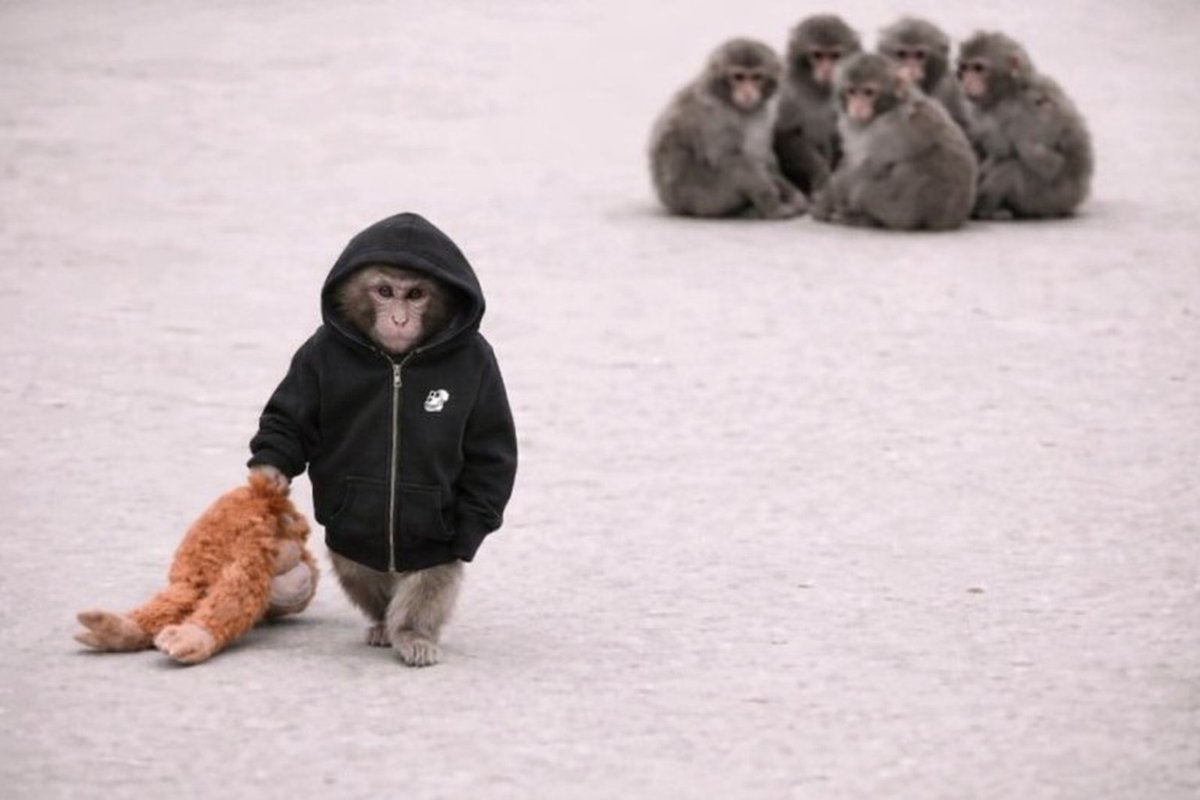 Bored Ape Yacht Club