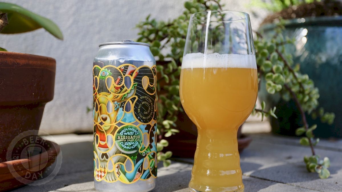 Beer of the Past for Feb 18th, 2018: Alligator from Brouwerij West (botd.us/zkyNmN) in San Pedro, CA. #beersnob #beer #ilovebeer #lovebeer #beertography #craftbeer #drinklocal #beergeek <a href="/BrouwerijWest/">Brouwerij West</a>