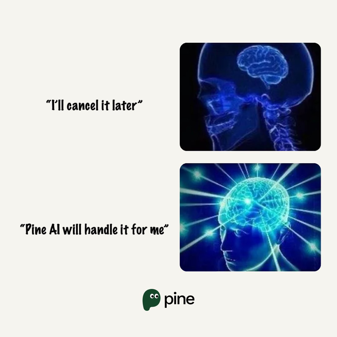 Pine AI tweet media