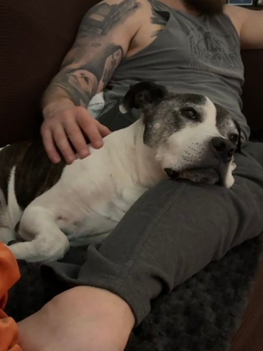 This guy is my best mate, but he's really not very well right now.

Brain space feels at a premium right now, so if I'm a little quieter than usual, it's because I'm keeping my own capacities for him, my children and my clients, rather than social media output.