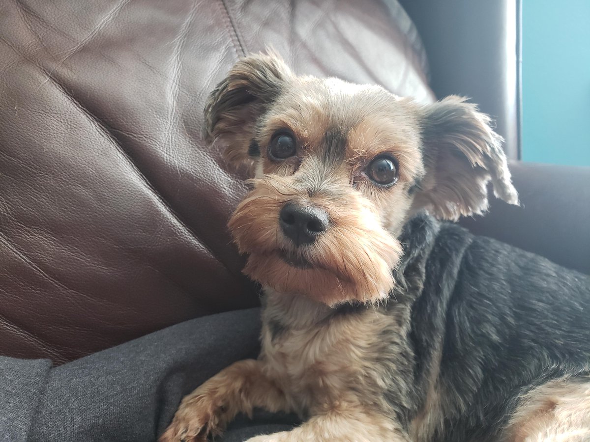 Dr._Haole_MadMatto66 tweet media