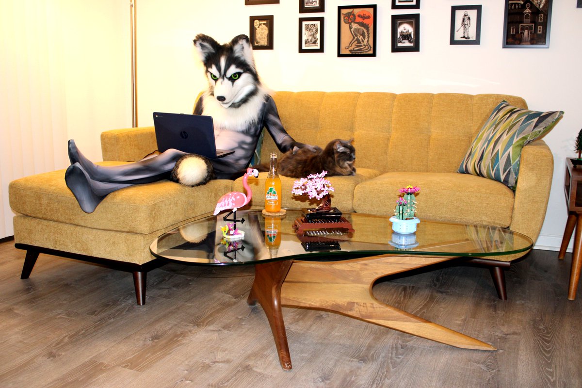 A cat and her dog plus lots of shedding hair in between.

#FursuitEveryday #spandex #petsuit