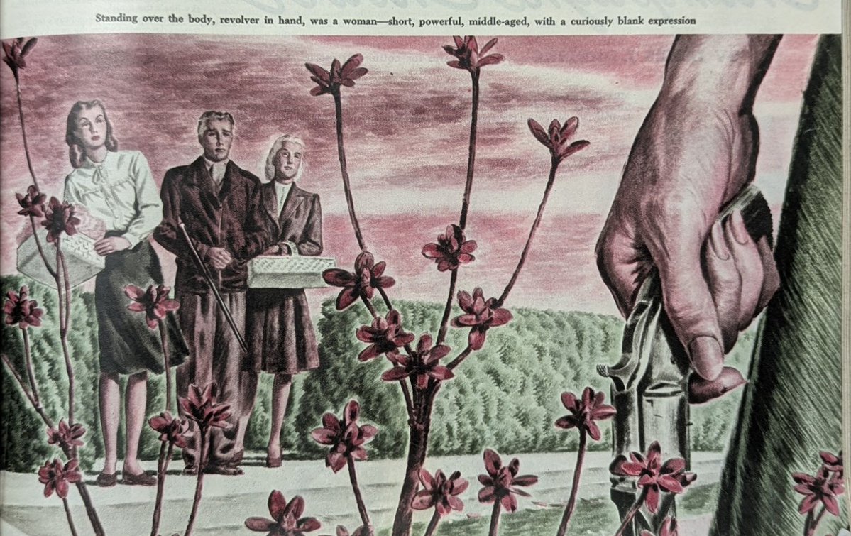 Collecting Agatha Christie tweet media