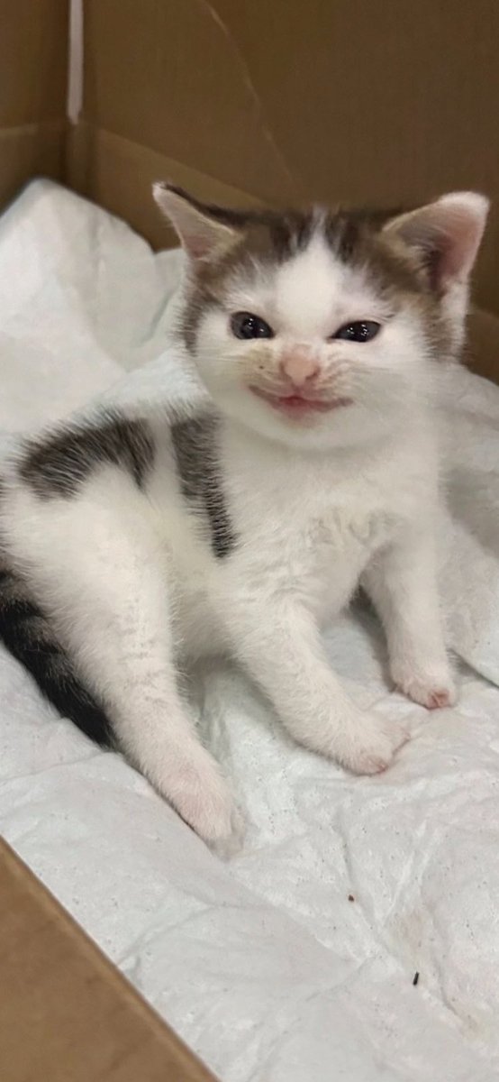 🙂