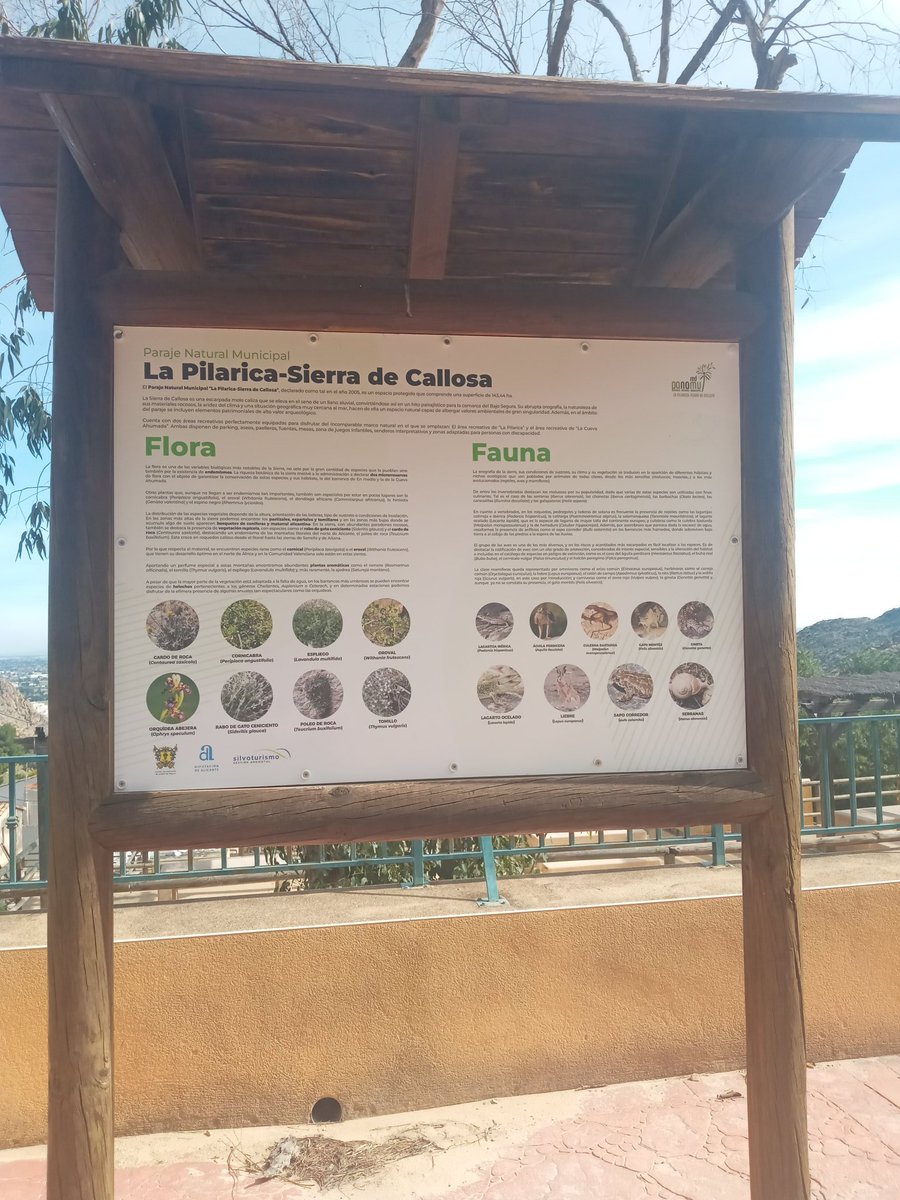 Sam Craven tweet media