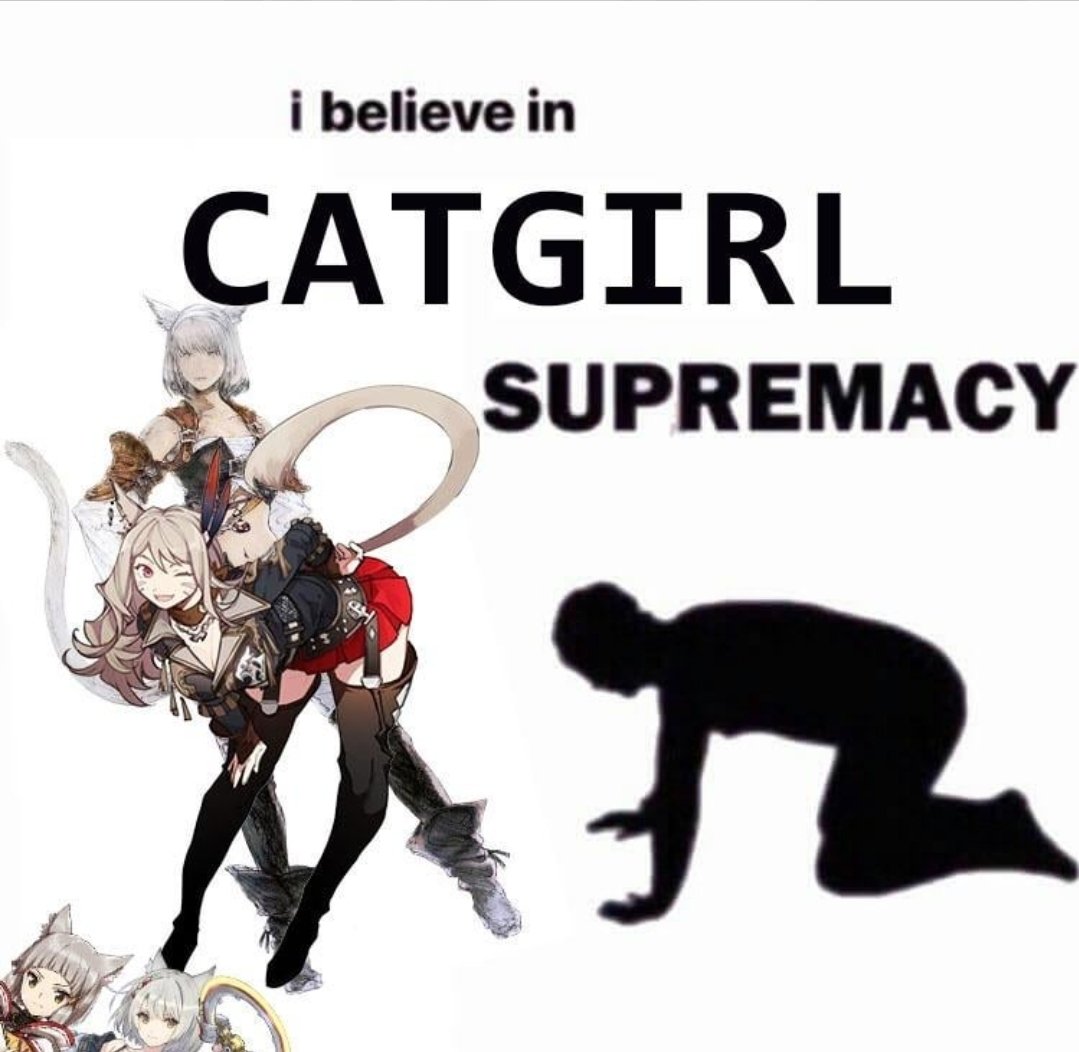 AlpacaLips 🐢 ➡️ FANFEST tweet media