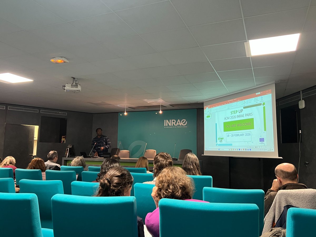 Horizon_StepUp tweet media