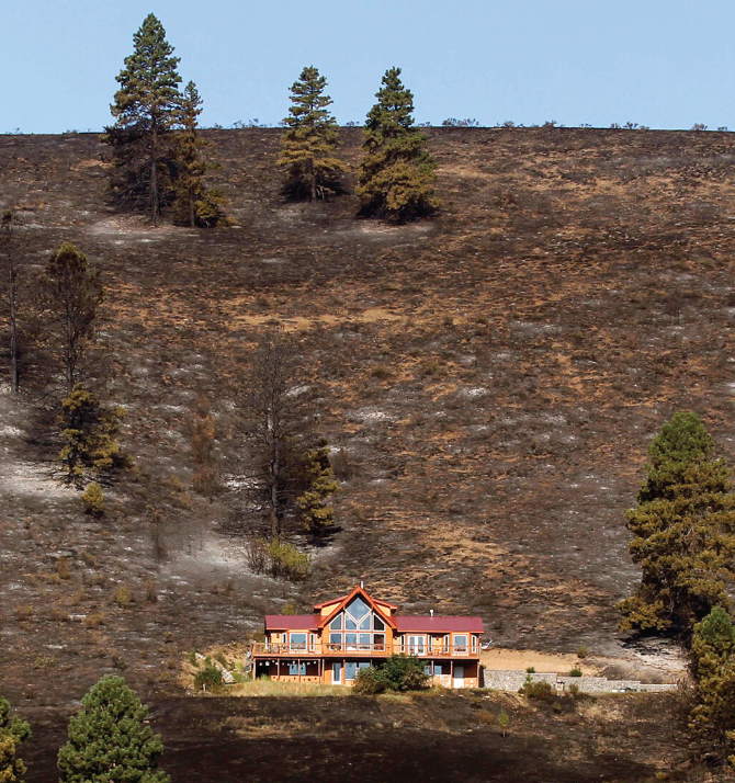 SIPA SusDev tweet media