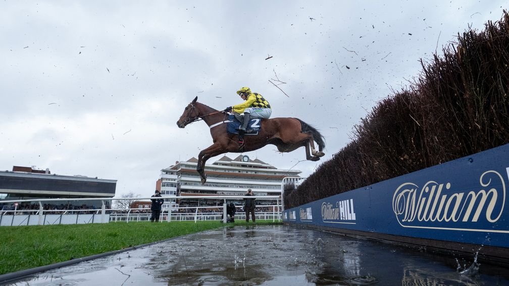 Racing Post tweet media