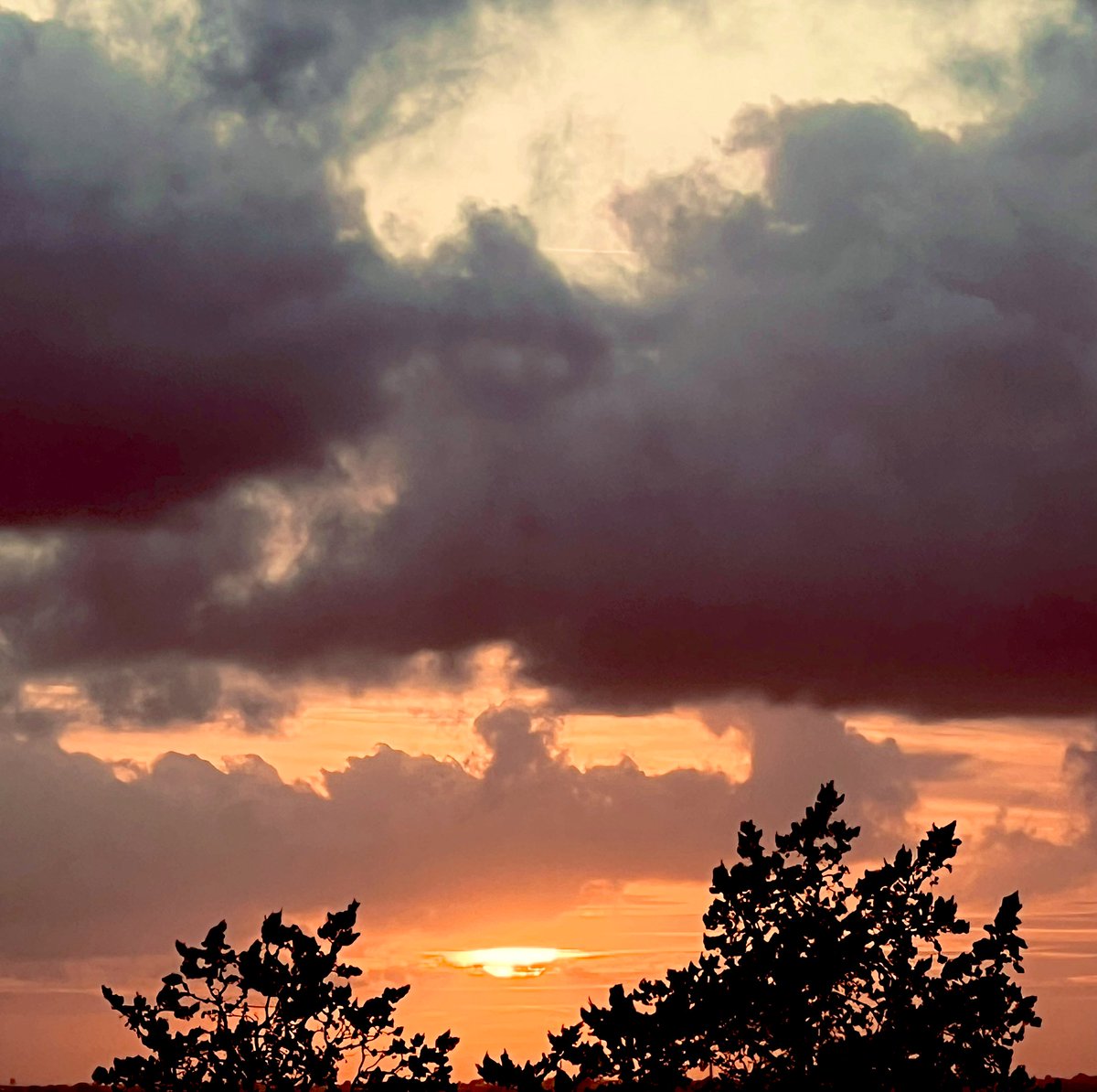 _sam_sa_ra's tweet photo. Allerta arancione.

📸 17:40 
#sunset #Rome https://t.co/uhQ4rq572V