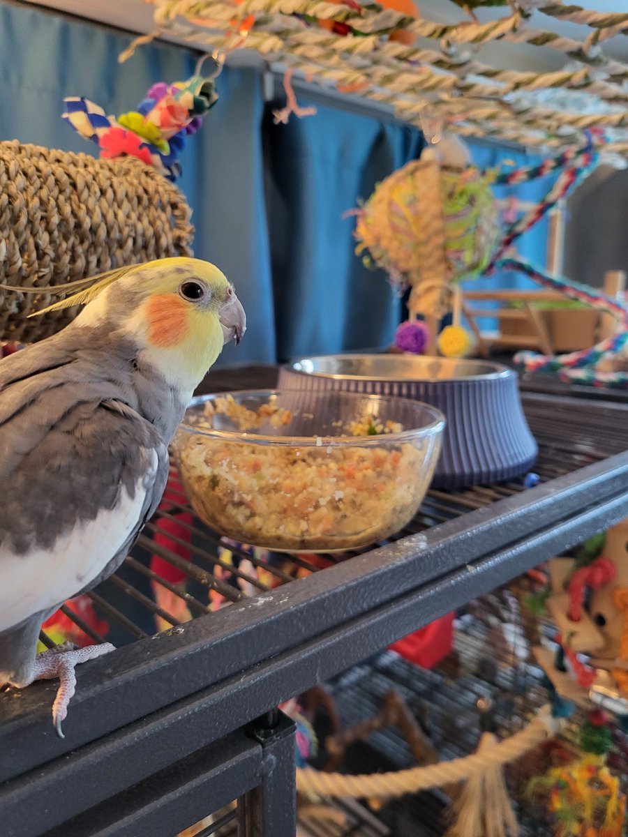 Pepper and Pals tweet media