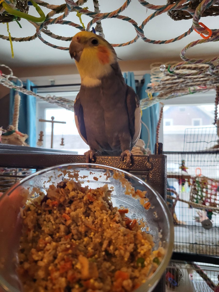 Pepper and Pals tweet media