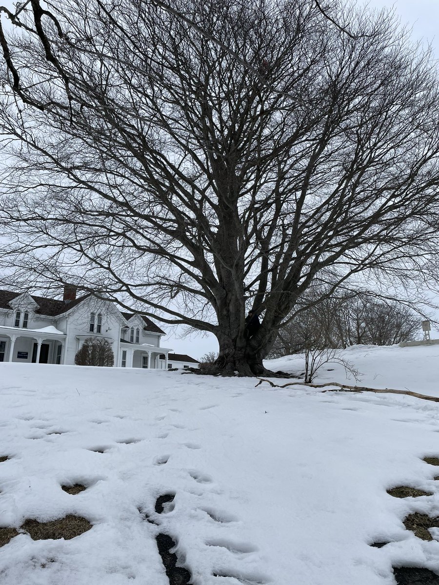 Elena Vassilieva tweet media