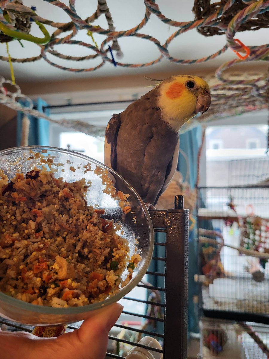 Pepper and Pals tweet media