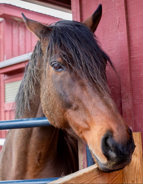 AftertheFinishLine tweet media