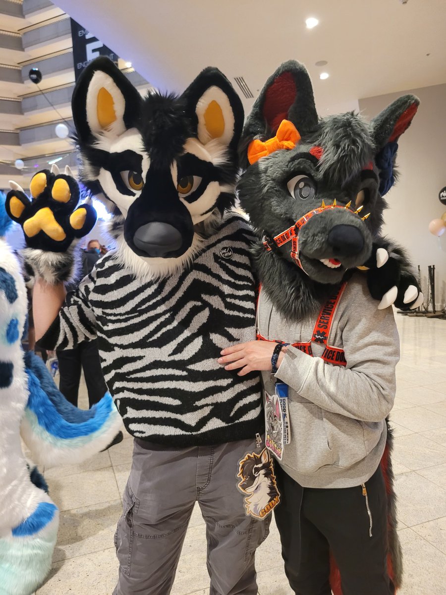 Solitar The Wolf 🔜 LVFC tweet media