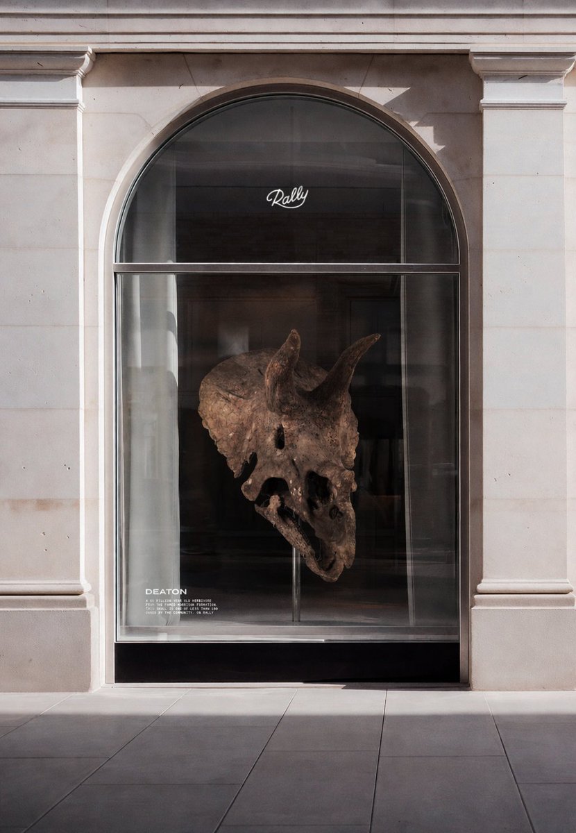 Rob Petrozzo tweet media