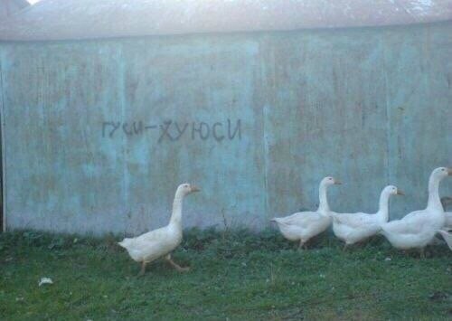 Whatever tweet media