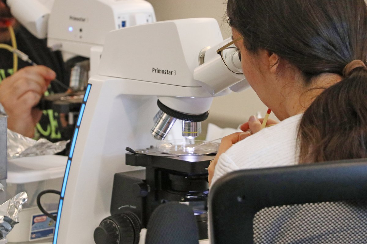 Bigelow Laboratory tweet media