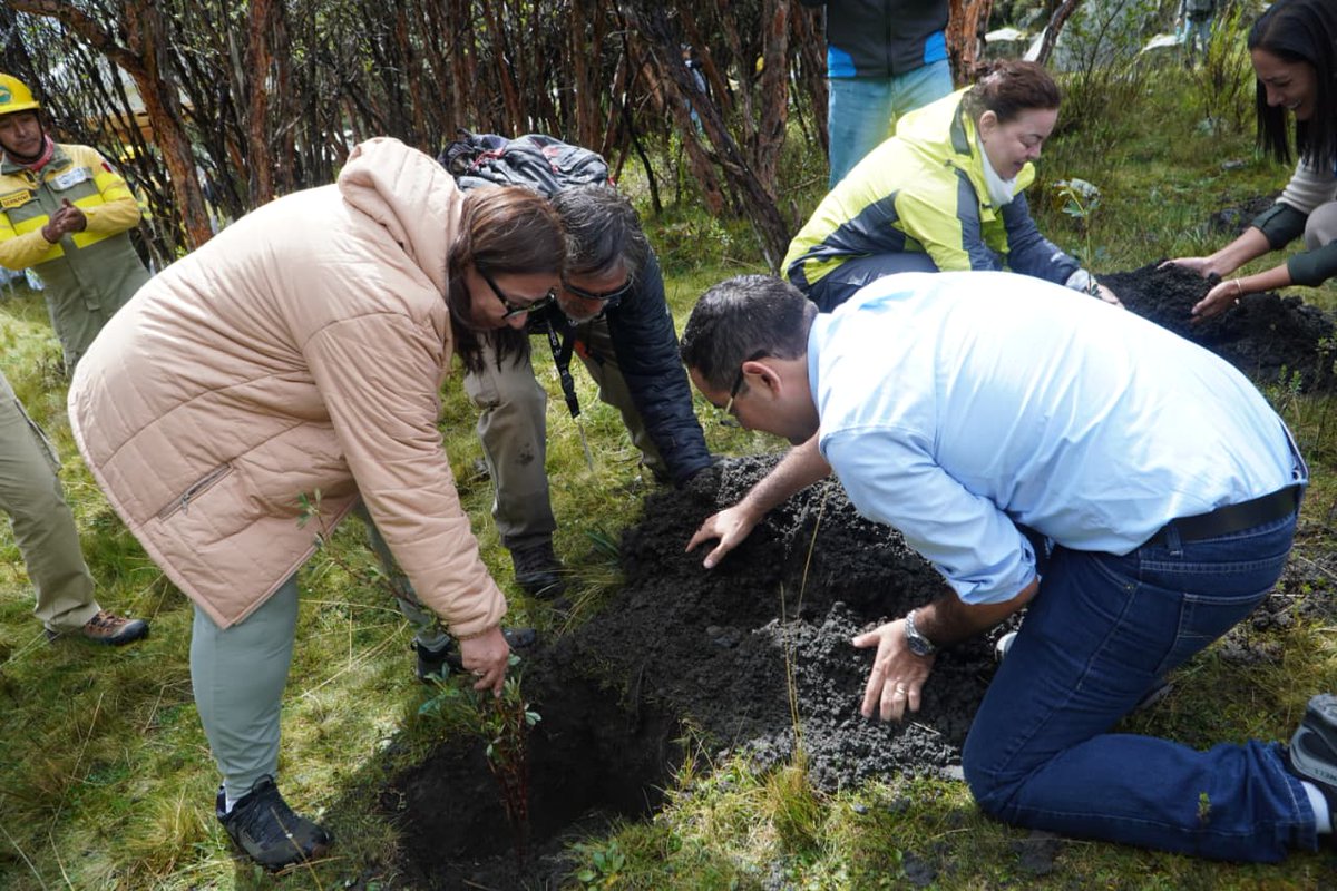 MinamPeru's tweet photo. 📢 #NotaDePrensa | El Ministerio del Ambiente puso en marcha el proyecto “Restauración de ecosistemas altoandinos en el Perú”, una intervención estratégica que permitirá restaurar más de 44 mil hectáreas y fortalecer el manejo sostenible de 120 mil hectáreas, beneficiando a más de 7 mil personas y protegiendo fuentes de agua clave para el país.

✅ Con financiamiento del GEF y el acompañamiento del @pnud_peru, el proyecto articula al MINAM, Gobiernos regionales y comunidades para impulsar soluciones basadas en la naturaleza, fortaleciendo la resiliencia climática y el desarrollo sostenible en los territorios de montaña.