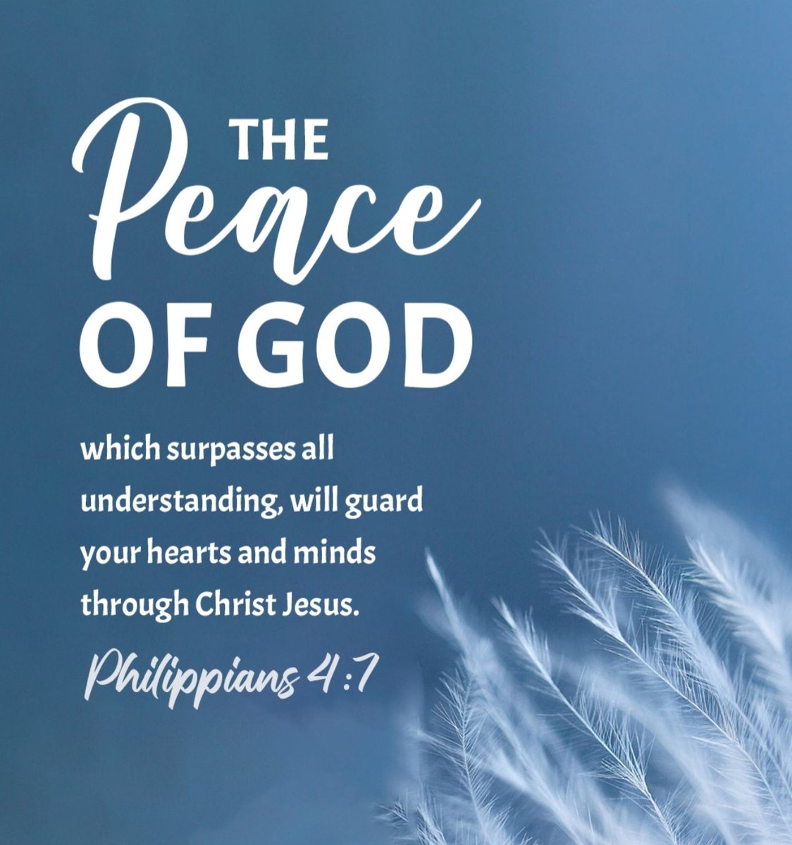 The Bible tweet media