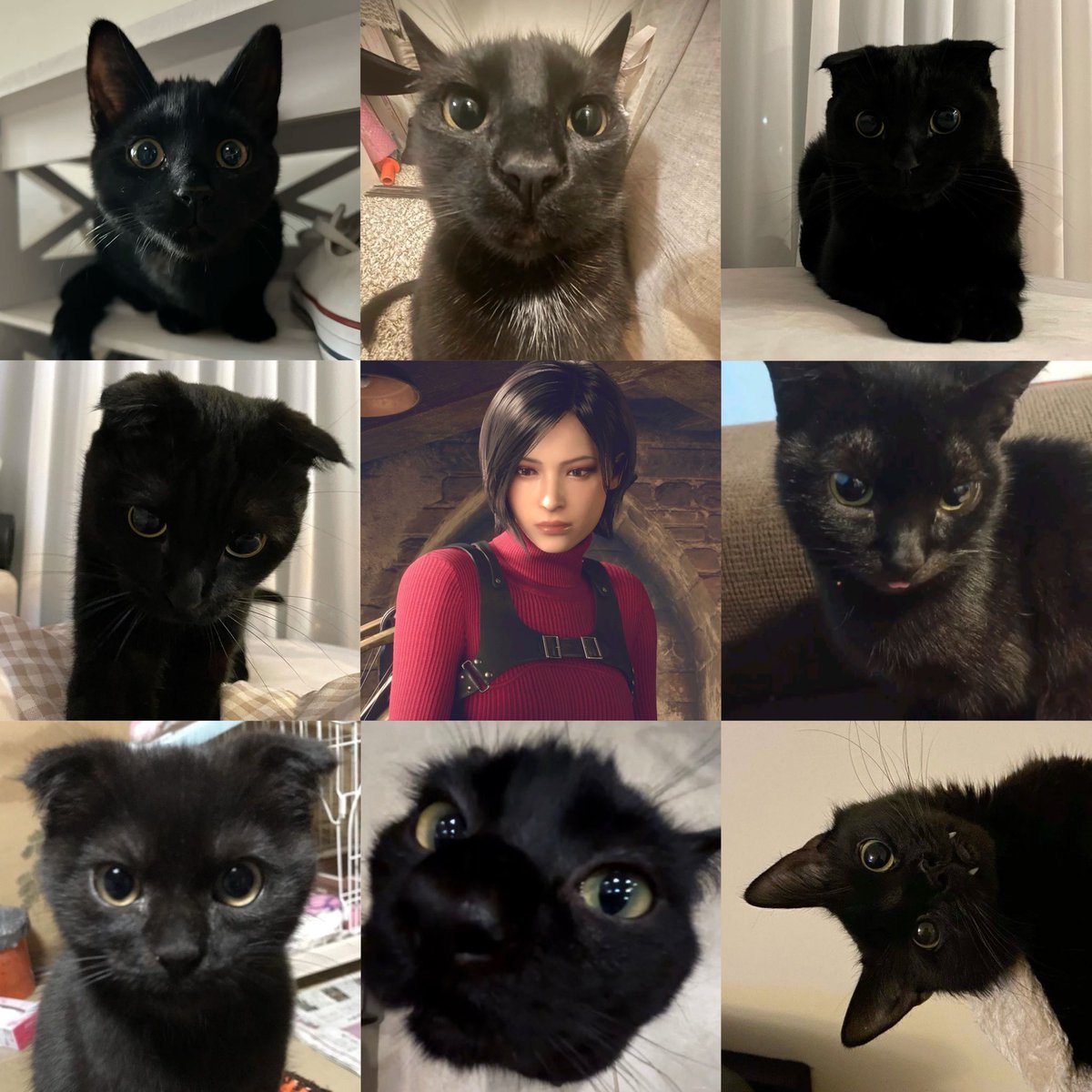 blankfaery's tweet photo. my ada variants https://t.co/ArDr8i7Vct