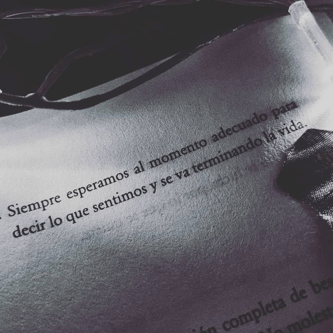 Defreds (@defreds) on Twitter photo 