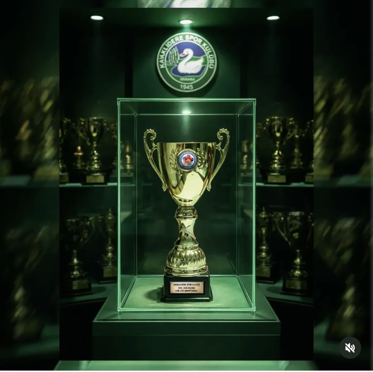 Şampiyon…💚🖤💚