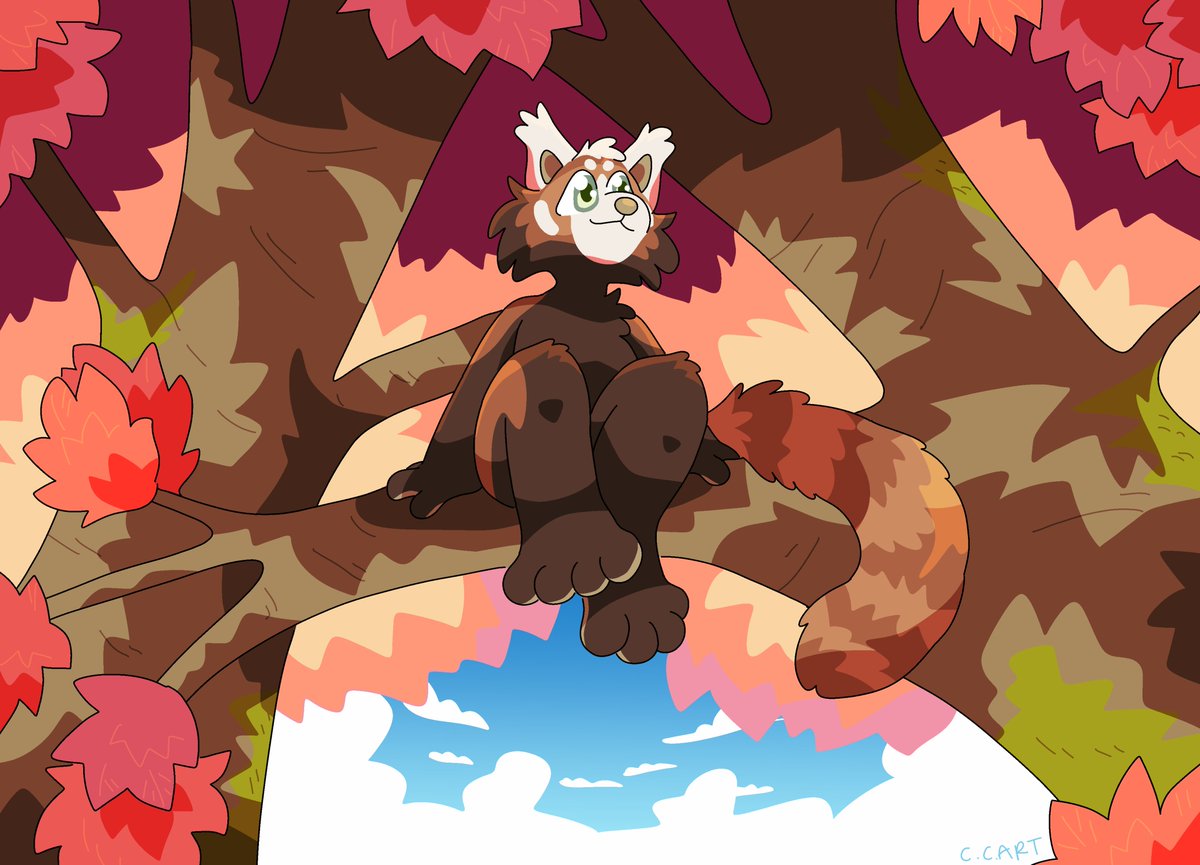 Clair 💫 tweet media